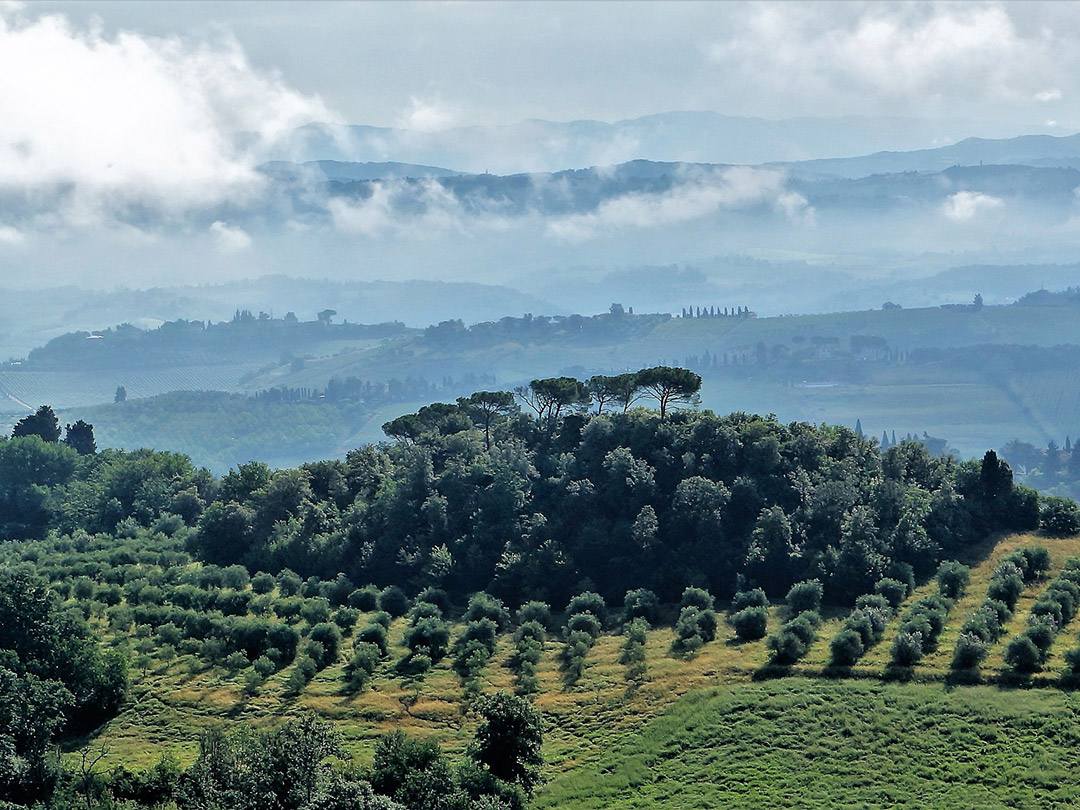 Agriturismo Toscana Podere Farinello