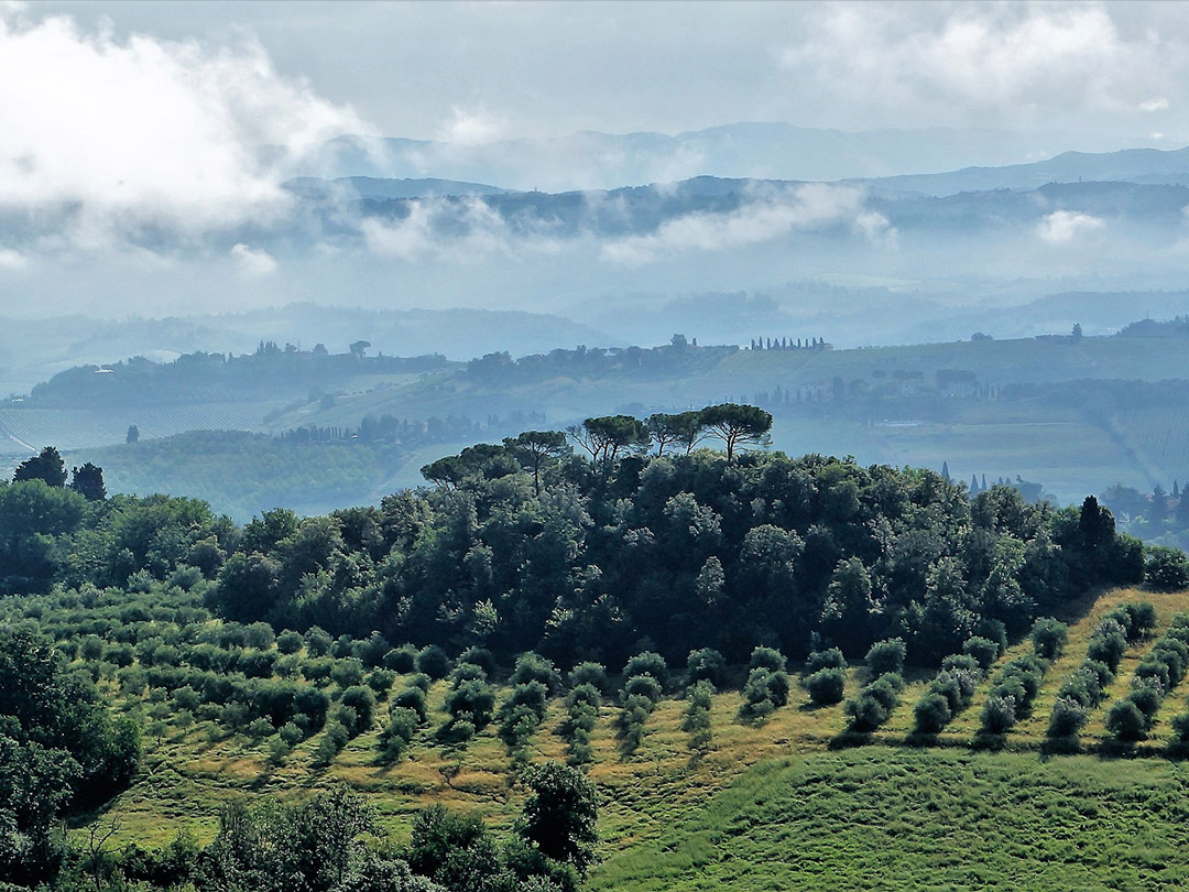 Appartamenti Toscana Podere Farinello