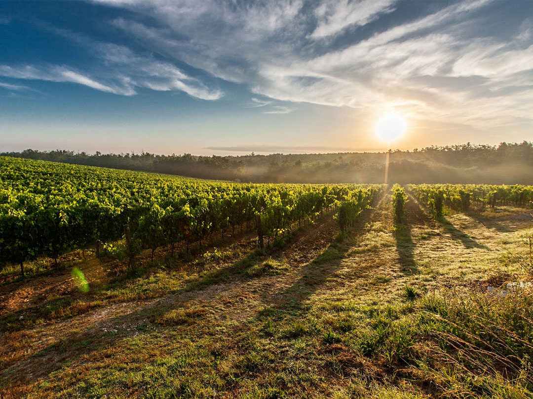 Appartamenti Toscana Podere Farinello